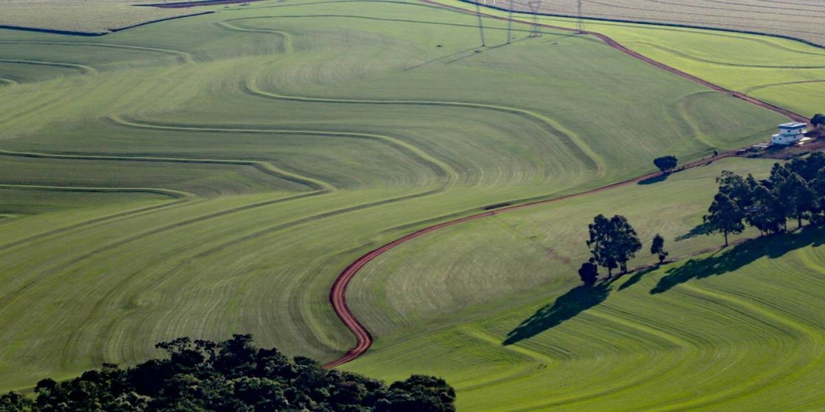 Seguro Rural do Paraná garantiu apoio aos produtores de diversas culturas em 2023