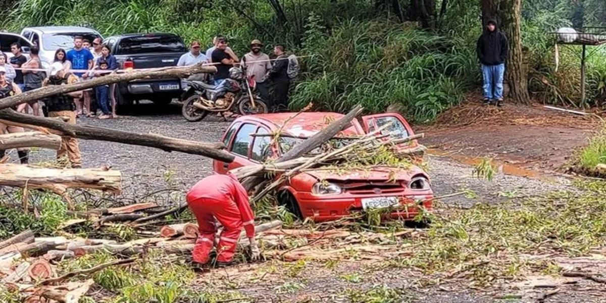 Homem morre após árvore cair sobre veículo durante temporal em Ponta Grossa