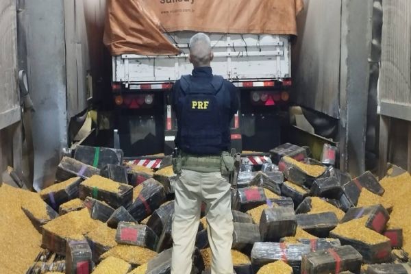 PRF realiza apreensão recorde de mais de 2 toneladas de maconha em carga de milho