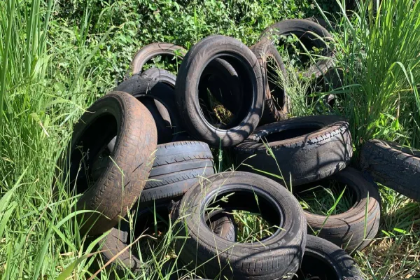 Foto relacionada a notícia: Proliferação de dengue: Acúmulo de pneus na PR-180 preocupa moradores do Condomínio Pantanal
