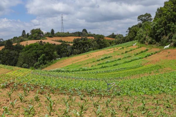 Com 3,9 mil agricultores certificados, Paraná lidera produção orgânica do Brasil