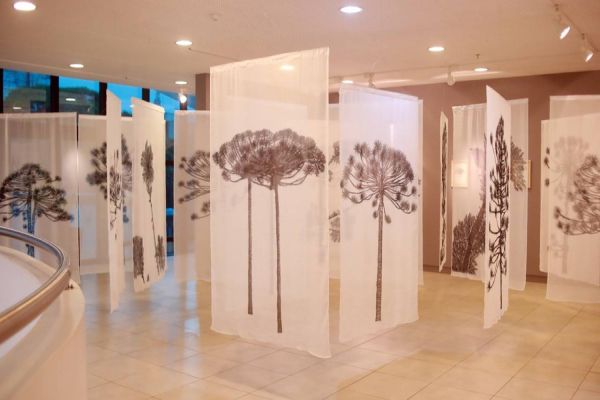 Museus de Cascavel: Opções imperdíveis para as férias