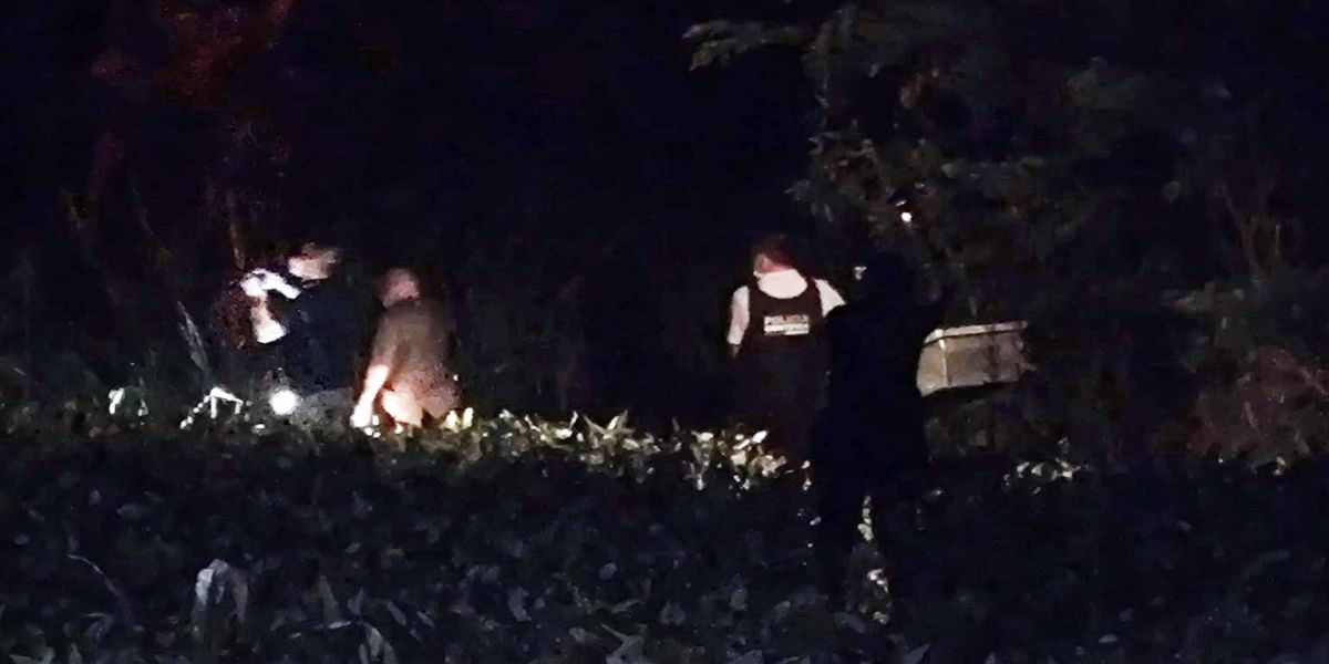 Tragédia em Assis Chateaubriand: Moradora desaparecida é encontrada morta em plantação de soja