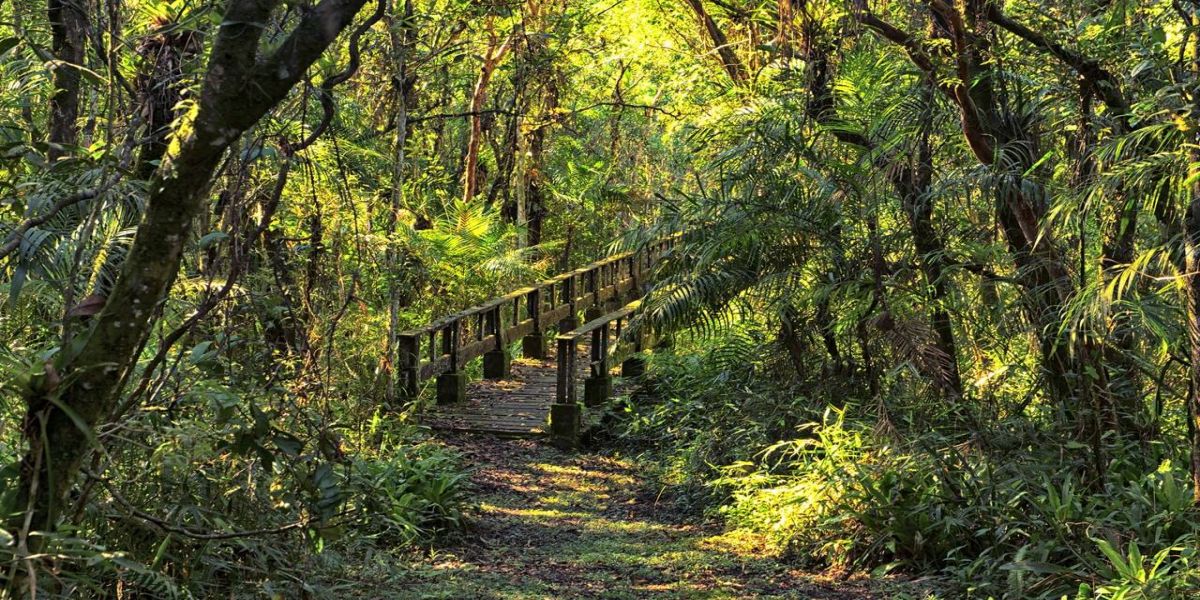 Turismo longe do mar: trilhas, montanhas e cachoeiras são opções alternativas no Litoral