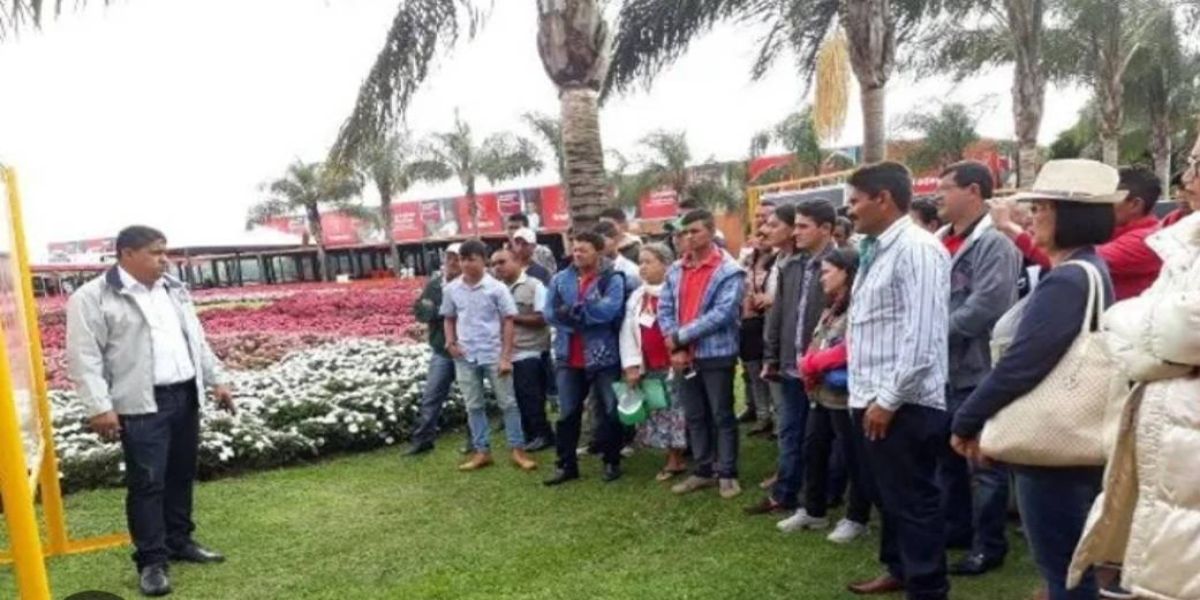 Agricultores do Nordeste vão percorrer 8,4 mil quilômetros para visitar o Show Rural