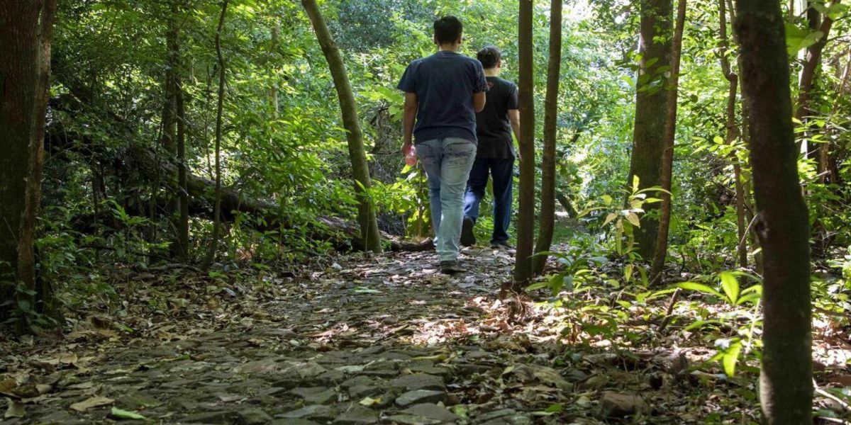 Trilha Ecológica e Aquário Municipal são opções de visitação em Toledo