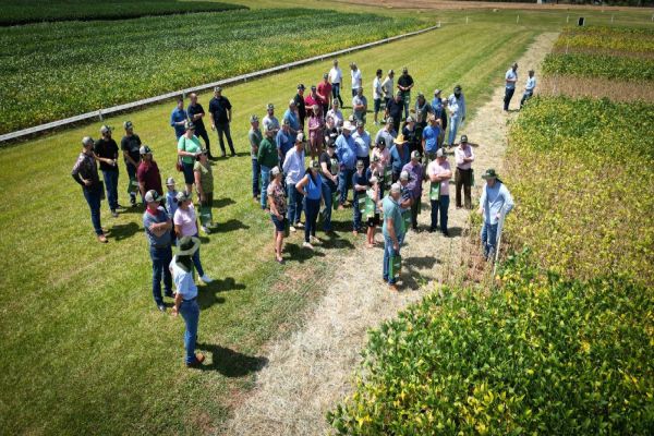 Copacol inicia 33º Dia de Campo; Norberto Ortigara marca presença no CPA