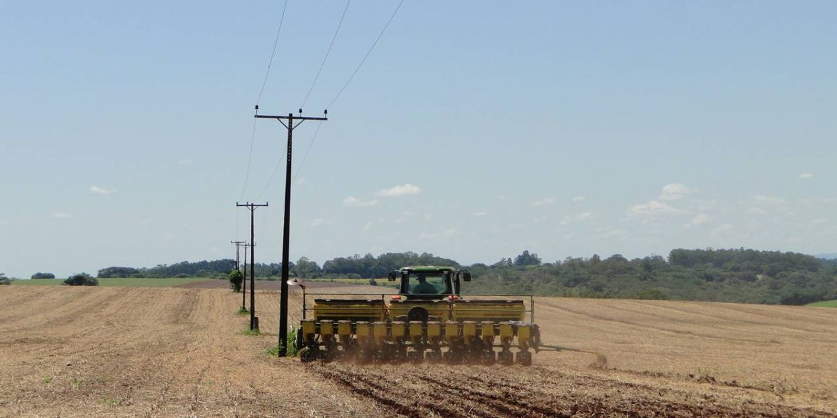 Portaria do Paraná amplia período de plantio da soja para produção de sementes