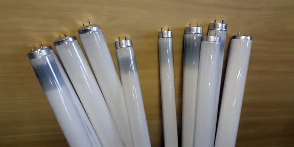 Meio Ambiente: Saiba como fazer a destinação correta de lâmpadas, pilhas e baterias em Cascavel