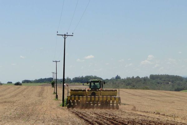 Imagem referente a notícia: Portaria do Paraná amplia período de plantio da soja para produção de sementes