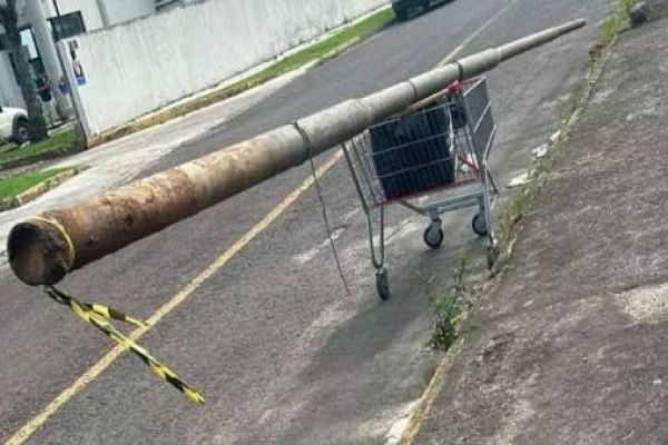 Flagrante inusitado: Homens são pegos carregando poste em carrinho de supermercado
