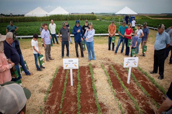 Dia de Campo destaca potencial em sementes testadas no CPA