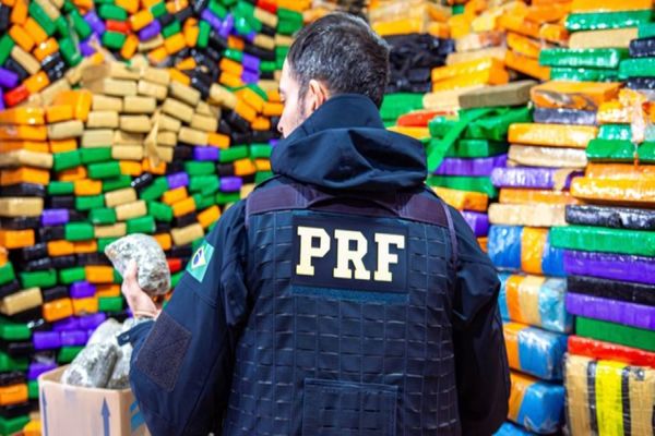 Região Oeste lidera apreensões de drogas e outros crimes, indicam dados da PRF no Paraná