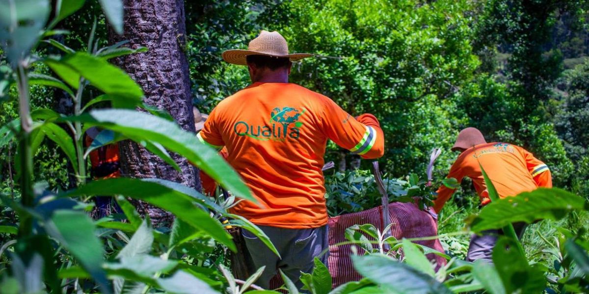 Com apoio do BRDE, empresa de erva-mate do Paraná ganha certificações internacionais