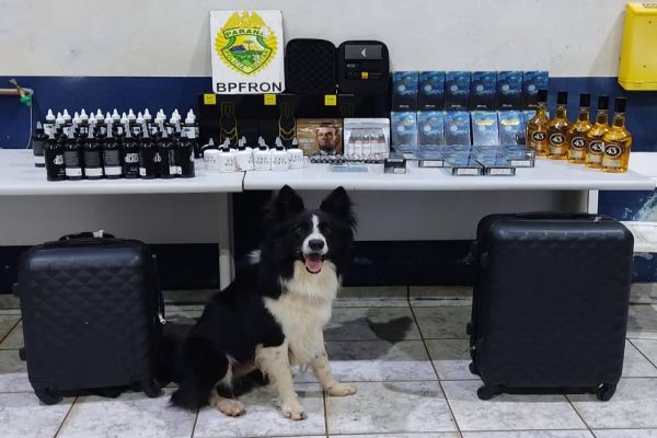 BPFRON apreende produtos estrangeiros em ônibus na cidade Cascavel