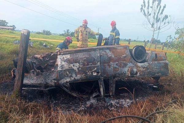 Mulher de 33 anos morre após carro capotar e pegar fogo na PR-490 em São Jorge do Patrocínio