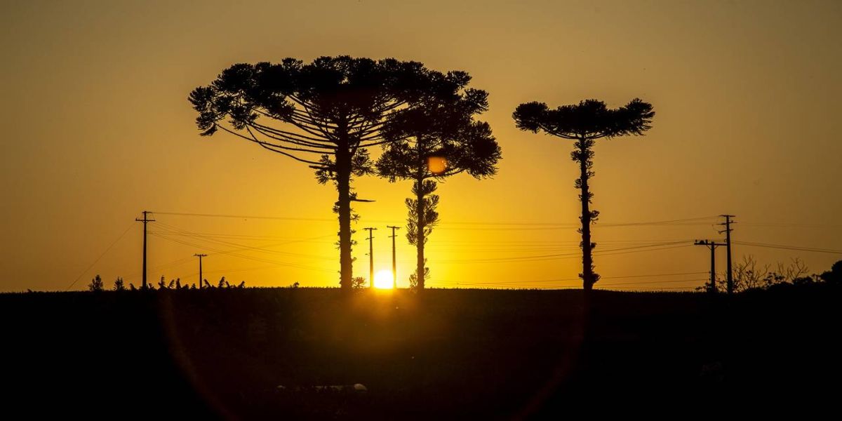 2023 foi o 2º ano mais quente desde 1979 no Oeste do Paraná