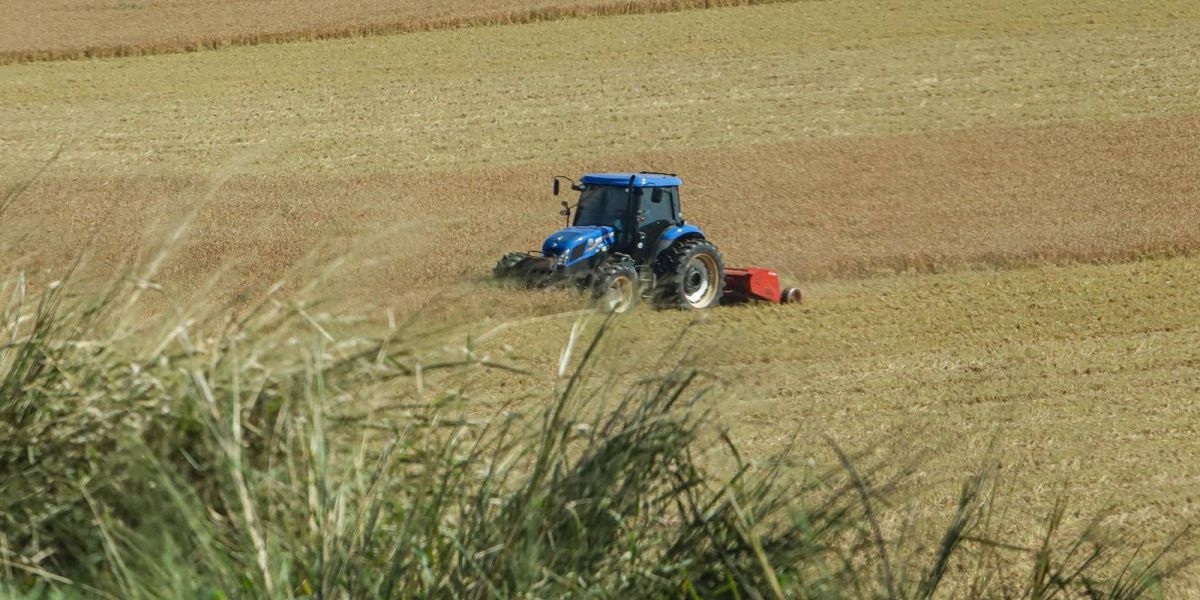 Impacto do clima na safra 2023/24 exige ajuste de preços para garantir renda ao agricultor