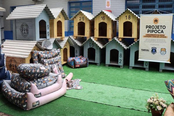 Detentos de Cascavel fazem 100 casinhas para cães resgatados das ruas