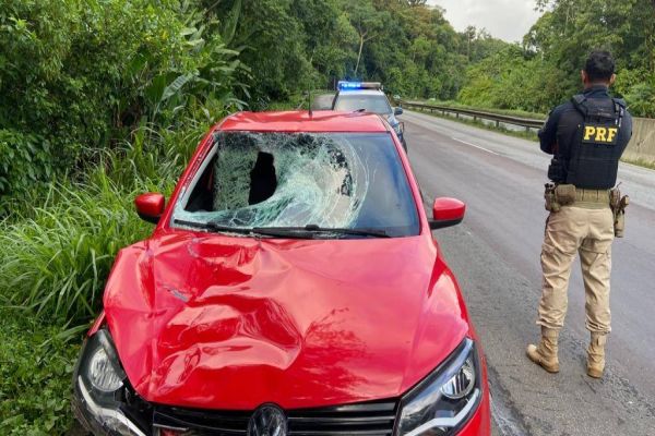 PRF prende trio responsável por atropelamento fatal na BR-277 em São José dos Pinhais