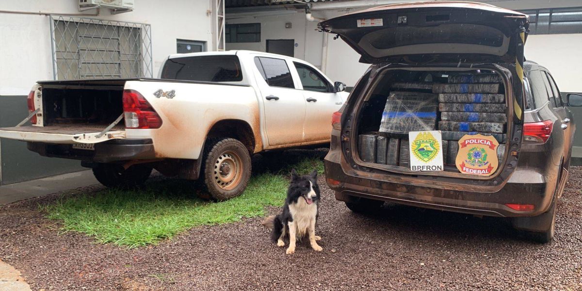 BPFron e Polícia Federal realizam grande apreensão de maconha no bairro Parque São Paulo