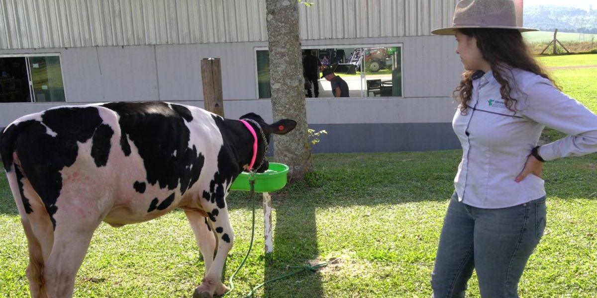 IDR levará raça Purunã, orientações sobre nutrição e técnicas de solo ao Show Rural