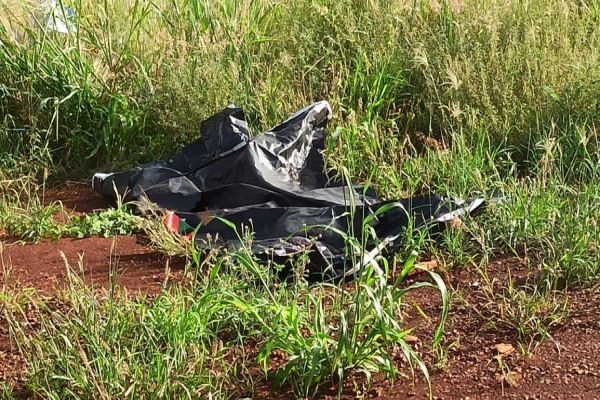 Corpo com sinais de violência é encontrado em terreno baldio de Toledo