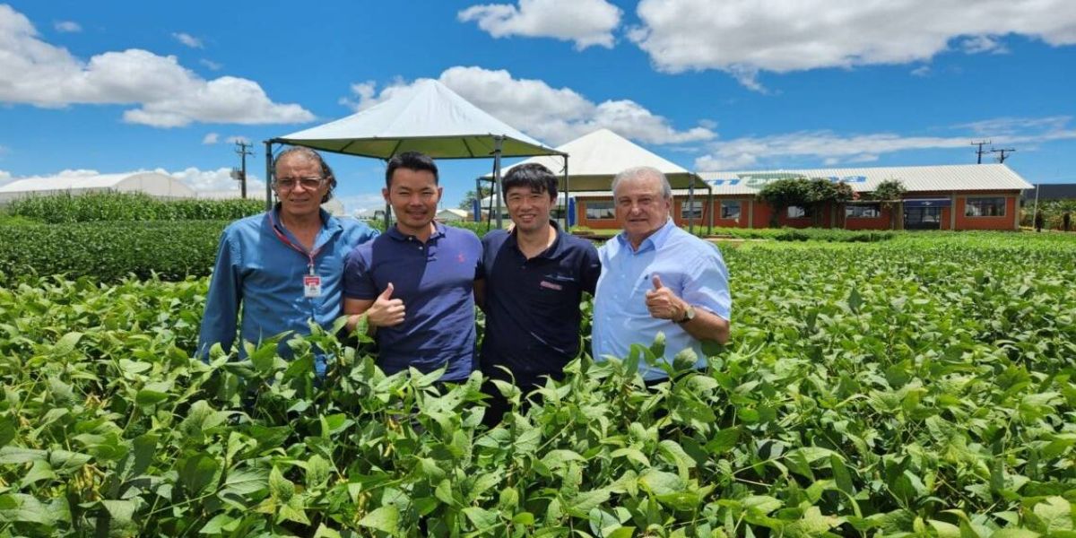 Dilvo Grolli recepciona diretores da gigante japonesa Kanematsu