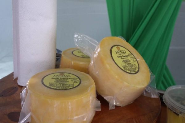 Feiras da agricultura familiar e do artesanato prometem atrair visitantes ao Show Rural