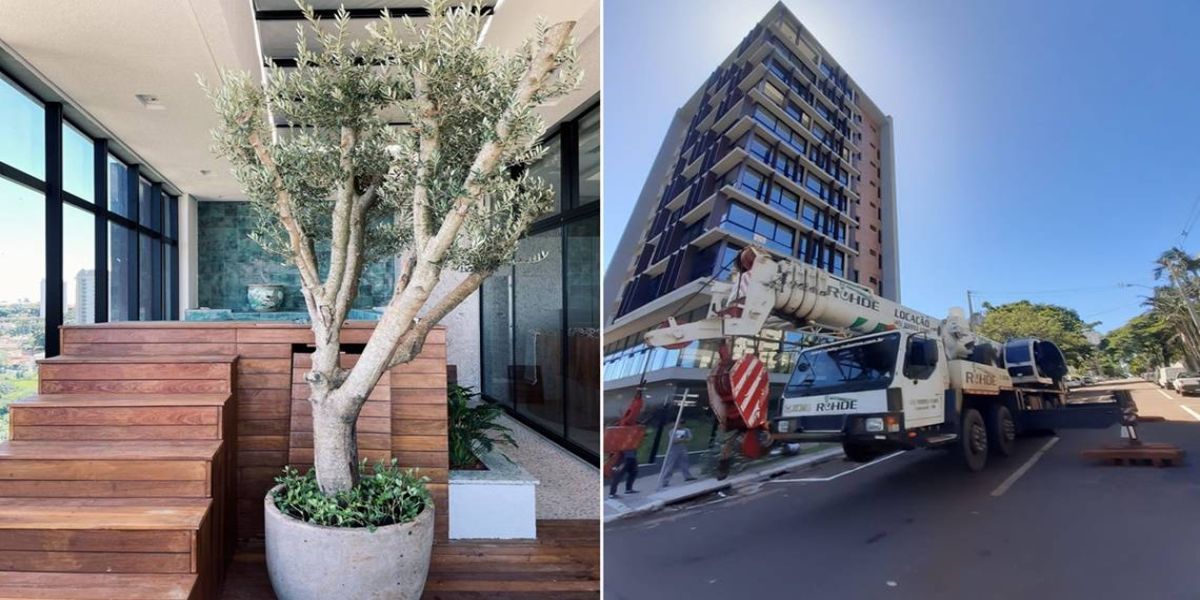 Guindaste eleva planta até apartamento na região central de Cascavel