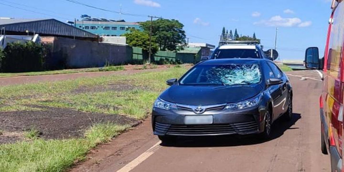 Pedestre de 66 anos fica em estado grave após ser atropelado por carro na BR-277 em Cascavel