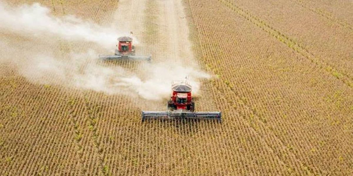 BASF leva ao Show Rural Coopavel oferta conectada de soluções para a agricultura