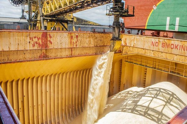 Com apoio da Índia, exportação de açúcar de cana rendeu 21% aos paranaenses em 2023