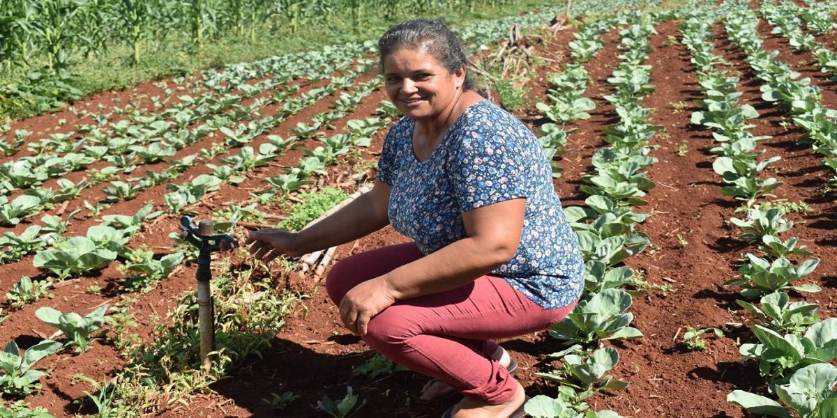 Desconto de energia para irrigação noturna beneficia 4 mil famílias de produtores rurais