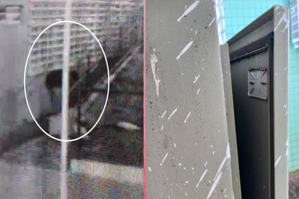 Escola Luiz Vianey é alvo de ladrões faltando dois dias para o retorno às aulas em Cascavel