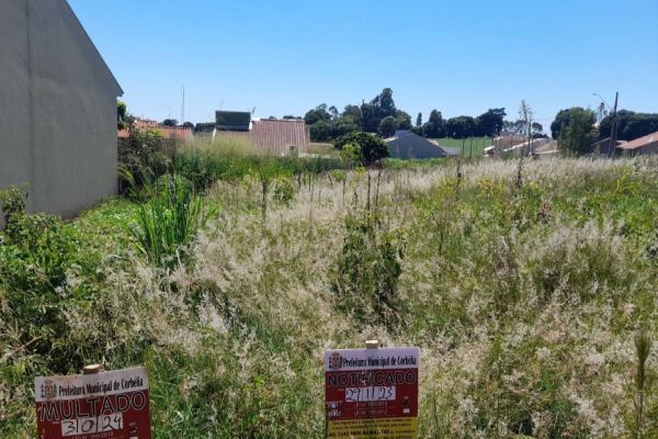 Prefeitura de Corbélia alerta sobre a importância da limpeza de terrenos para evitar multas e doença