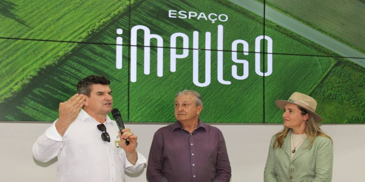 Impulso é oportunidade para jovens criativos e inovadores