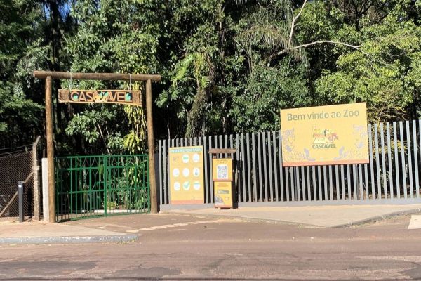 Zoológico dá o start à temporada de férias com parque aberto de terça a domingo