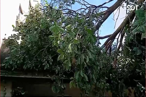 Temporal em Cascavel: Defesa Civil atende 30 ocorrências