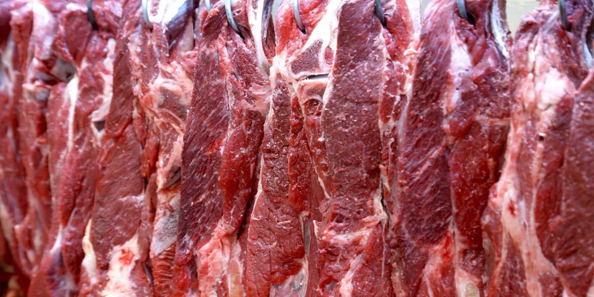 Paraná recebe autorização para exportar carne bovina ao Canadá