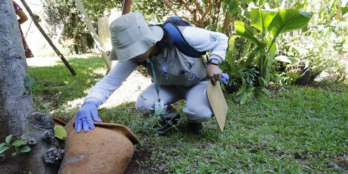 Saúde cria Sala de Inteligência para monitorar e traçar estratégias de combate à dengue em Cascavel