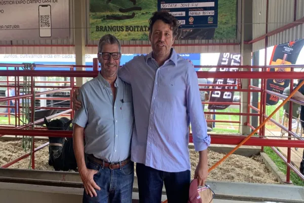 Foto relacionada a notícia: Brangus tem programação no Show Rural com exposição de animais e novo projeto aos criadores