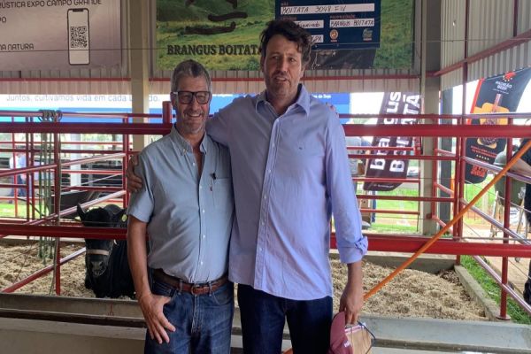 Brangus tem programação no Show Rural com exposição de animais e novo projeto aos criadores
