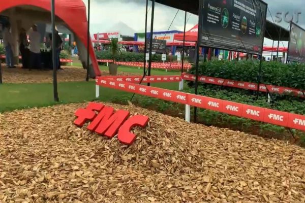 FMC apresenta soluções inovadoras para proteção de cultivos no Show Rural em Cascavel