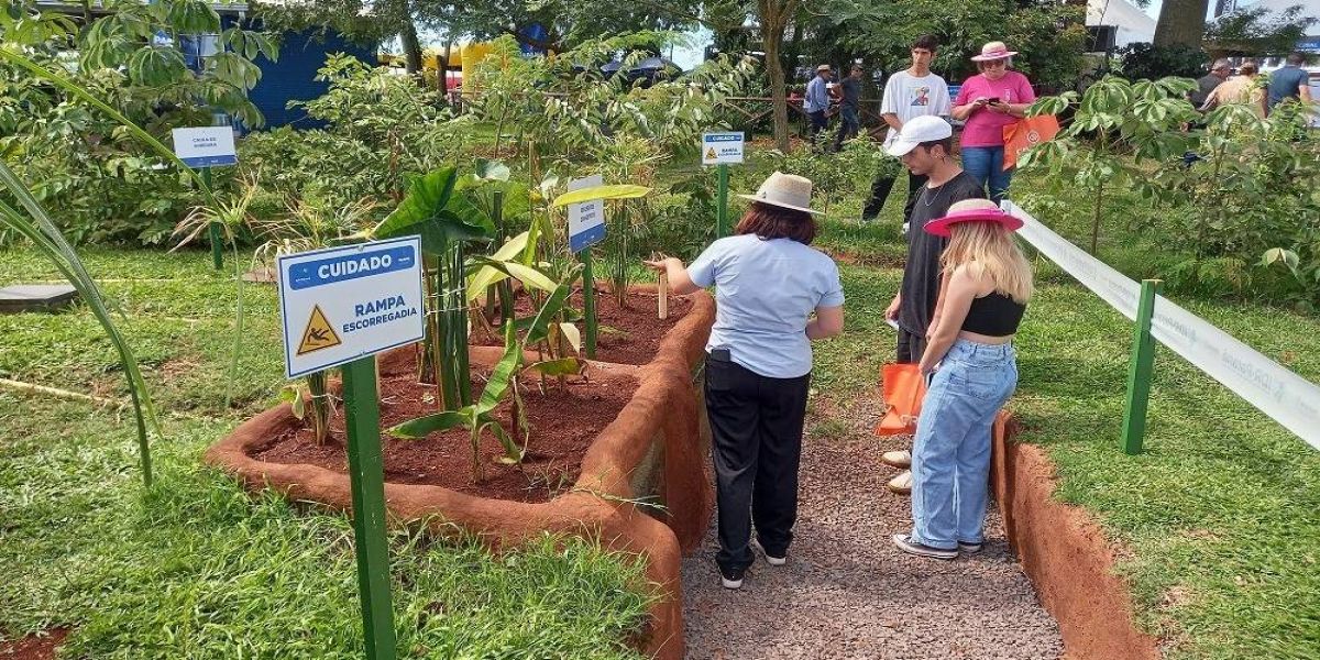 Maquete interativa no Show Rural Coopavel destaca importância da proteção dos cursos de água