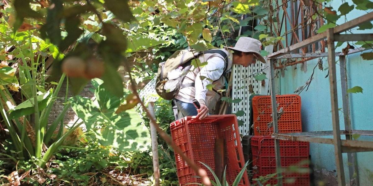 Paranhos alerta para o aumento dos casos de dengue e apela à responsabilidade coletiva