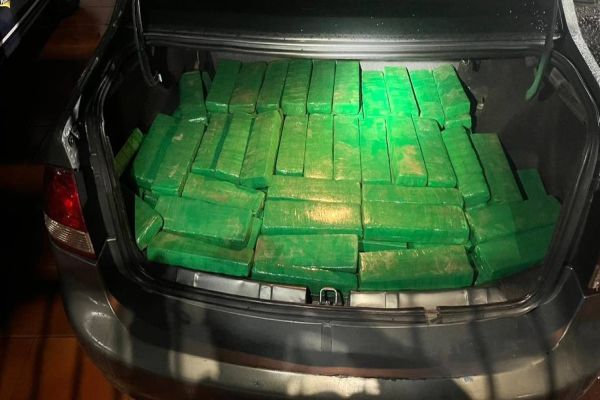 PRF realiza apreensão de grande quantidade de maconha na PR-444 em Arapongas