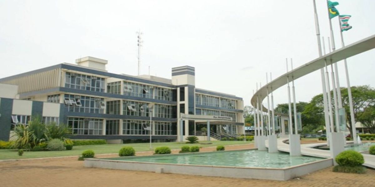 Toledo decreta emergência de saúde pública devido à dengue após primeira morte confirmada