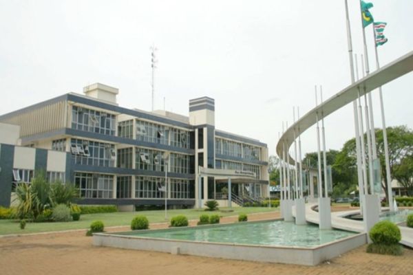 Toledo decreta emergência de saúde pública devido à dengue após primeira morte confirmada