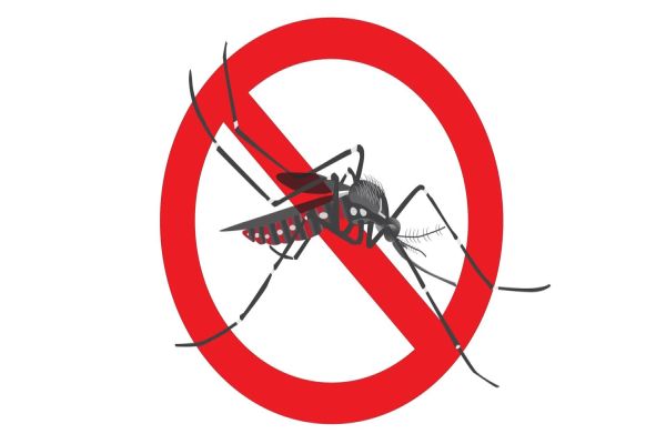 Profissionais das Engenharias, Agronomia e Geociências podem contribuir no combate à dengue